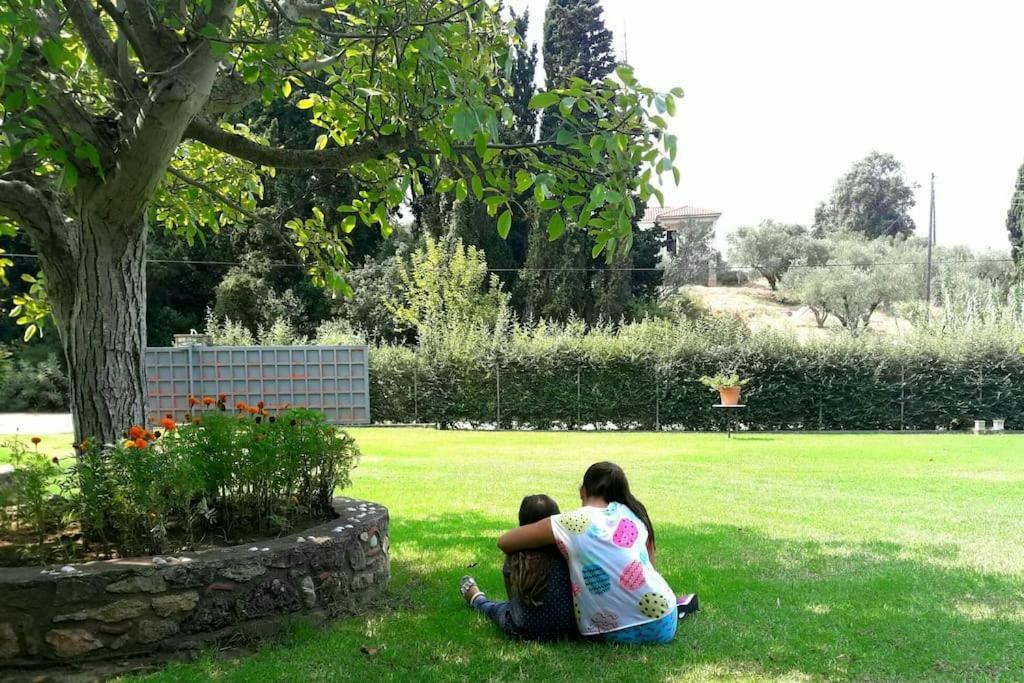 Levendokhórion A House Between Ancient Olympia And The Ionian Sea מראה חיצוני תמונה